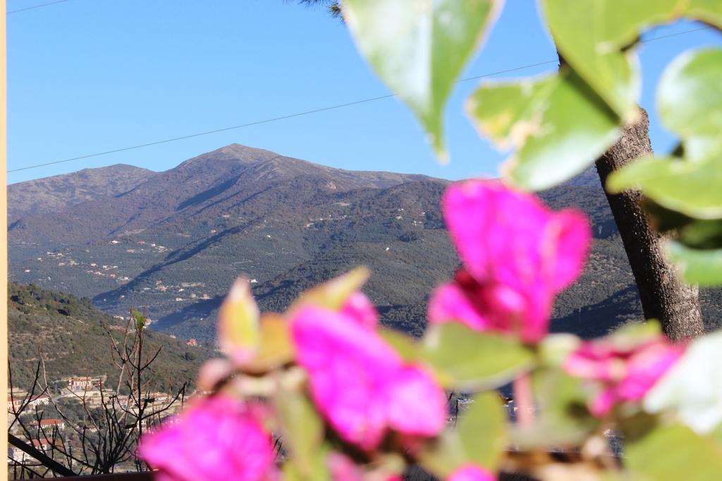 Tenuta Domine Imperia Pokoj fotografie